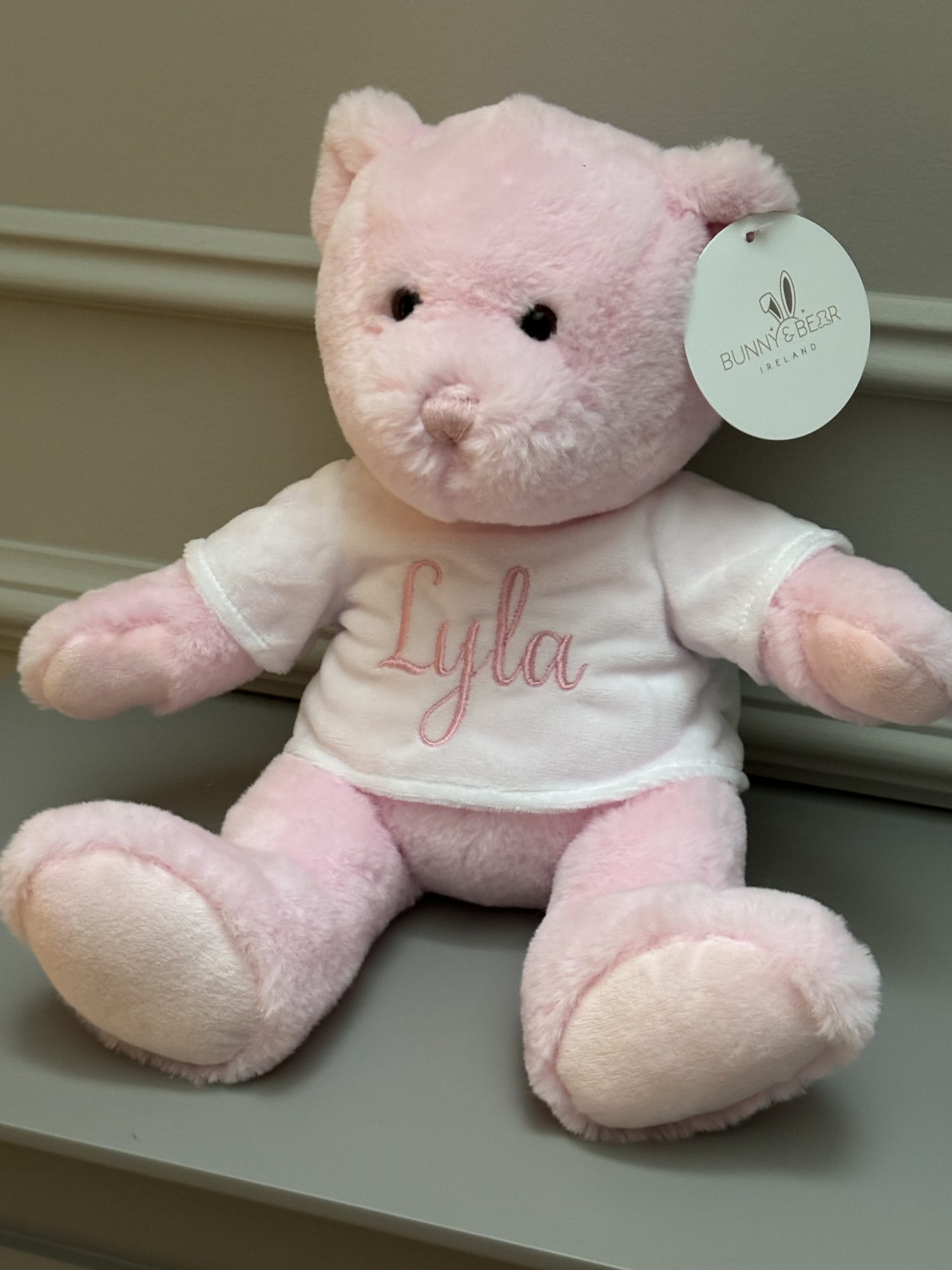Teddy Bear (Personalisation Available)